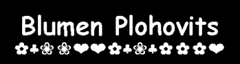 blumen_plohovits2