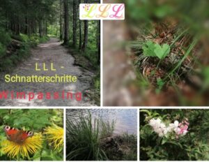 Schnatter neu