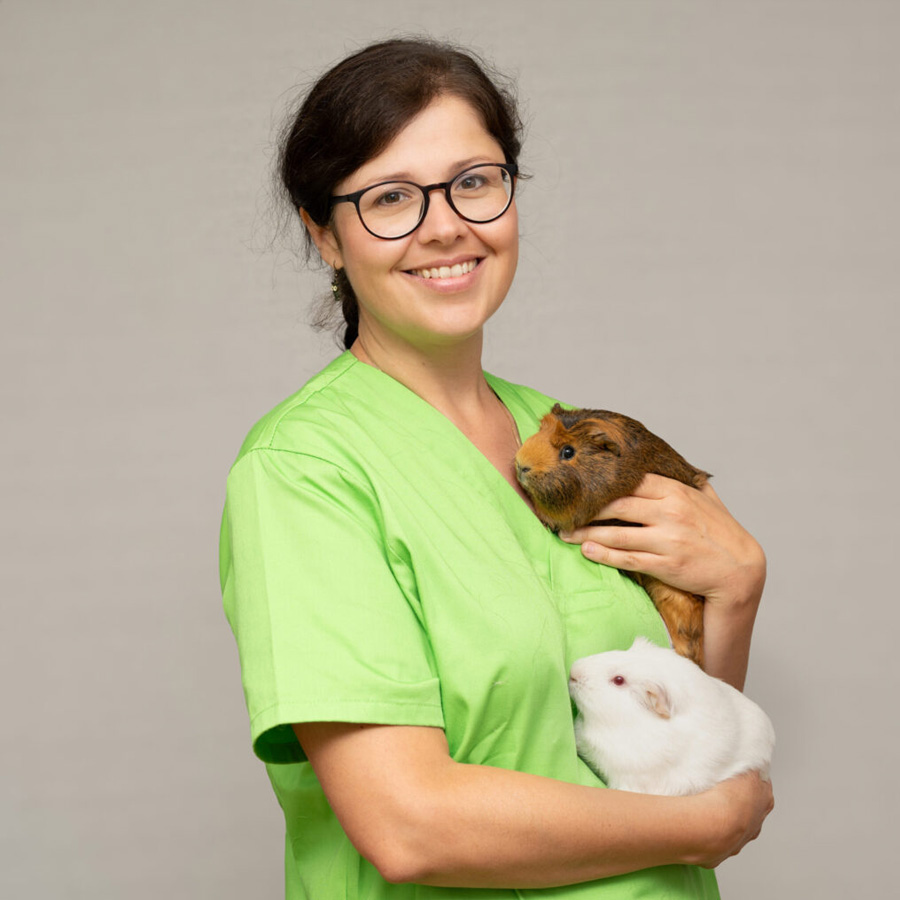 Dipl.Tzt. MMag. Dagmar Weltin-Huber